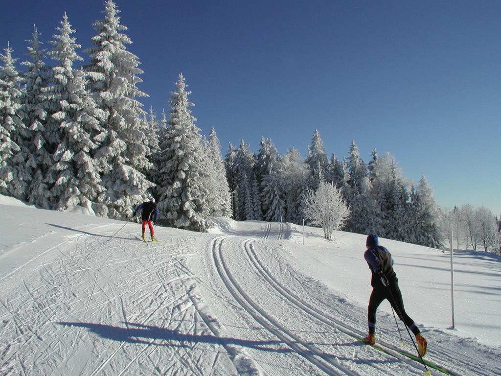 Jugendgaestehaus Ulrichsberg Eksteriør billede